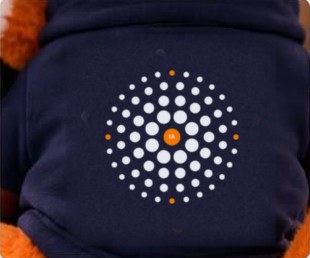 Detalhe das costas do moletom da IA.RA